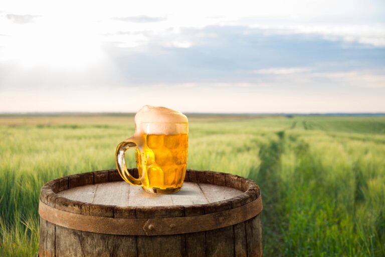 Best 18 Breweries in Kansas: Our Top Picks for Craft Beer Lovers