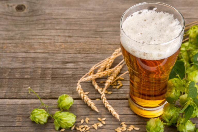 Best 15 Breweries in Dayton OH: A Guide to the Top Craft Beer Spots in the Area