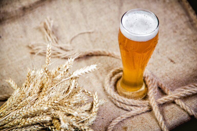 Best 9 Breweries in Oklahoma City OK: Top Places to Enjoy Craft Beer