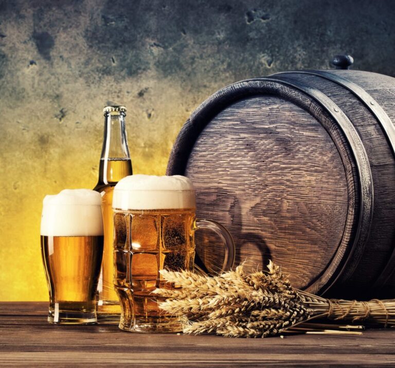 Best 10 Breweries in Burlington VT: Our Top Picks for Craft Beer Lovers
